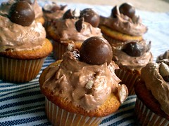 Malted Chocolate Chip Mini Cupcakes