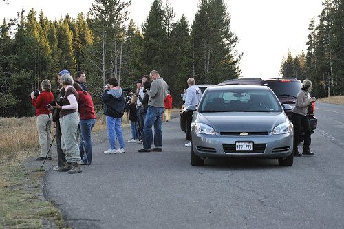 Spectators, Fishing Bridge Joint, Yellowstone NP