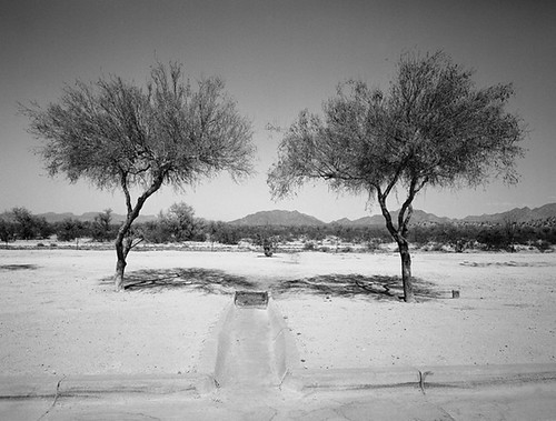 "Rest Area Interstate 10, Arizona" by Timothy Taylor
