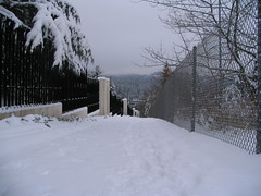 Hill - IMG_4471