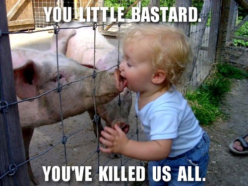 Swine Flu - Humorous Image via Flickr User djuggler