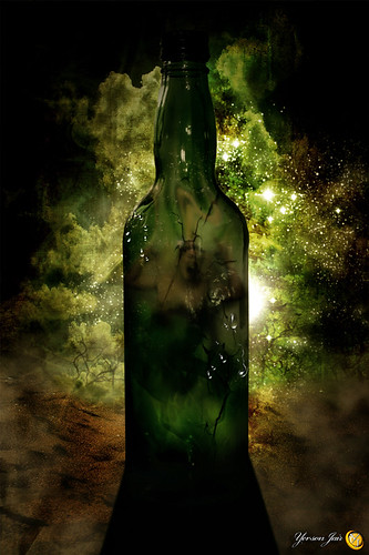 El grito en la botella por Yerson Jair