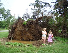 Girls and Mom's downed tree