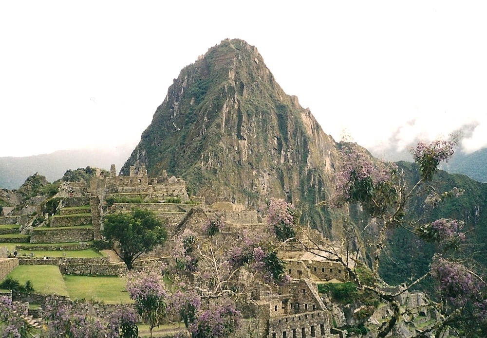 Machu Pichu (7)