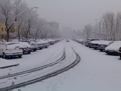 nevada calle
