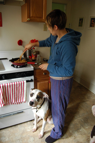 how to cook with pitbulls