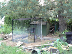 Chicken coop in progress