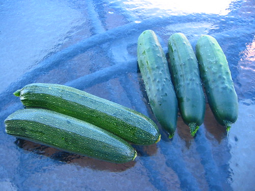 Zucchini and Cucumbers