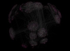 Social Network Visualization with Walrus 1