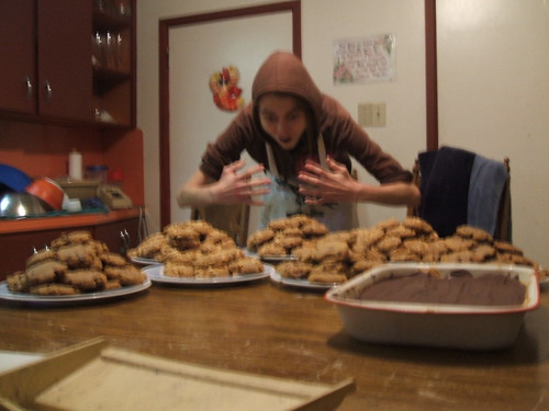 230 cookies4