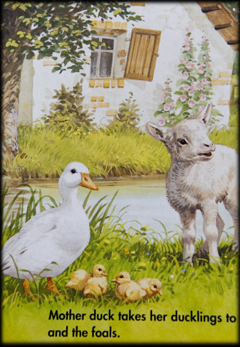 mother-ducks-children-book