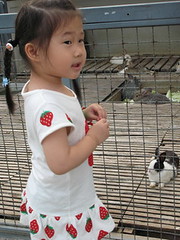 20080410-yo與兔子-15