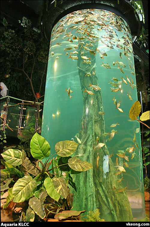 tube aquarium