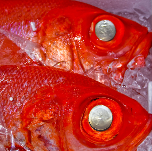 Red Fish Tsukiji Fish Market Tokyo
