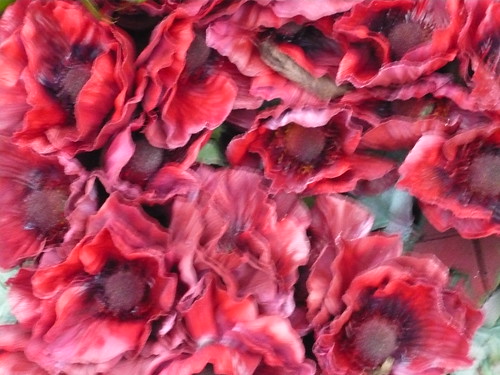 11.11.Poppies