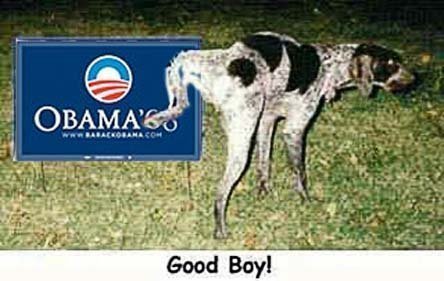 dog pissing on sign a Barack Obama campaign sign - Good Boy!
