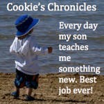 cookies_chronicles_button