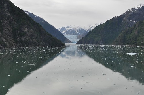Sawyer Glacier in Tracy Arm Fjord
