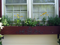 perennial flowerbox