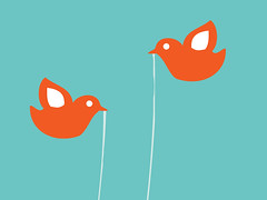 Twitter Birds, Close Up