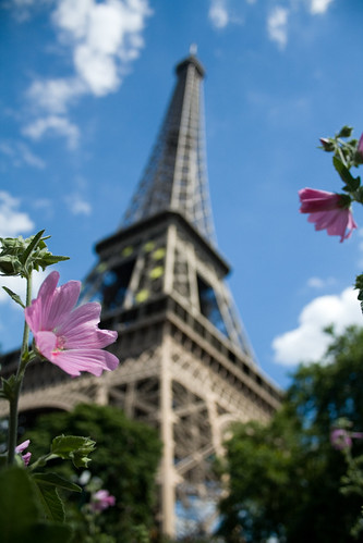 Paris is a flower