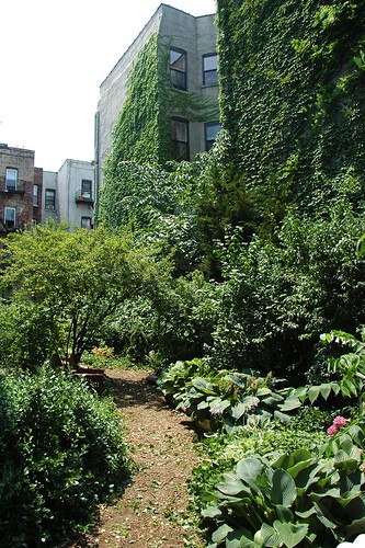 Lincoln-Berkeley Community Garden