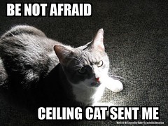 BE NOT AFRAID - CEILING CAT SENT ME
