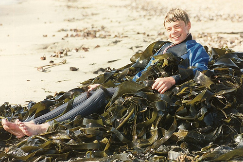 Trapped in Seaweed!