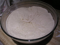 Risen Dough (Sour)