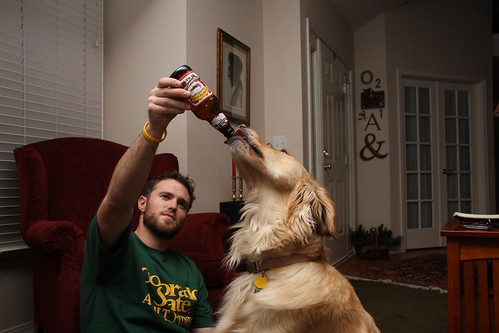 Dog beer by AMagill, on Flickr