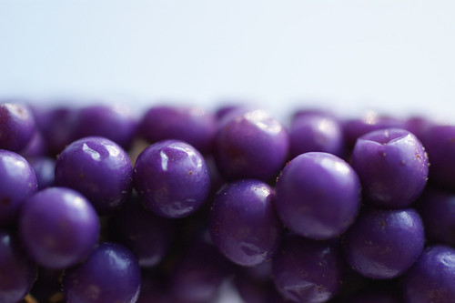 purpleballs