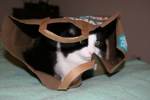 Arby in a bag
