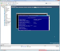 Windows 2008 R2 in a VM 