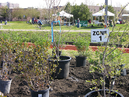 2011 Arbor Day Greenway zone 1