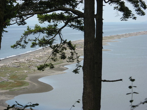 Dungeness Spit (1)