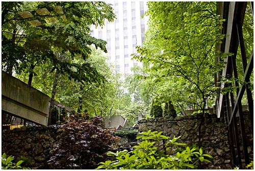 Green and the City:  Sheratons Waterfall Garden in Toronto