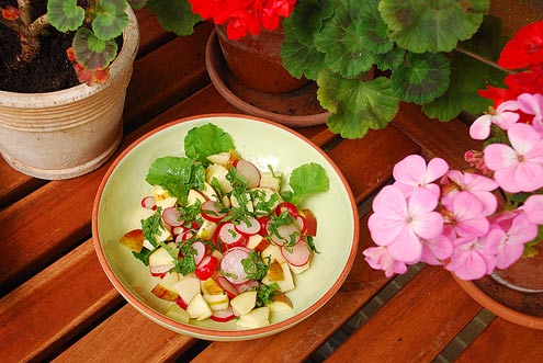 Radish & Apple Salad