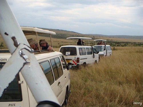 你拍攝的 25 Masai Mara。