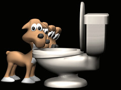 Dog Toilet.gif