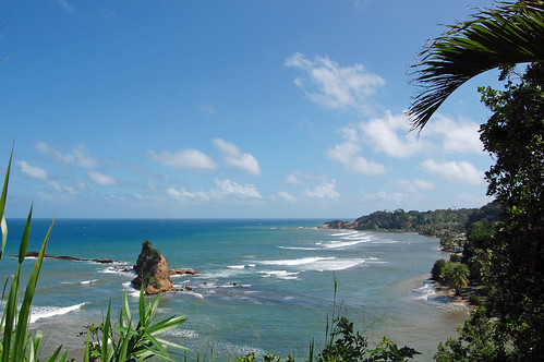 Dominica Coastline