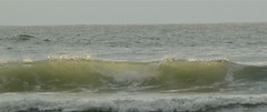 Waves on Indian Beach #5