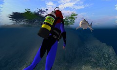DEN in SL Shark Week with Dive World