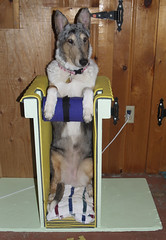 Lucy in her Bailey Chair