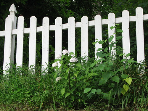 Steph's Fence