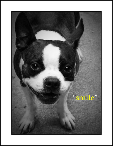 Tyson2 smile