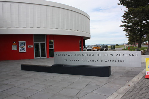 National Aquarium Napier
