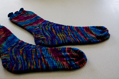 Dove Socks