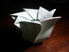 7-Sided Tato Box, Open Top, S-Curved Sides