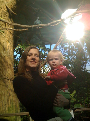 The Rain Forest at the Central Park Zoo