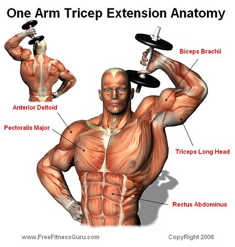 triceps extension